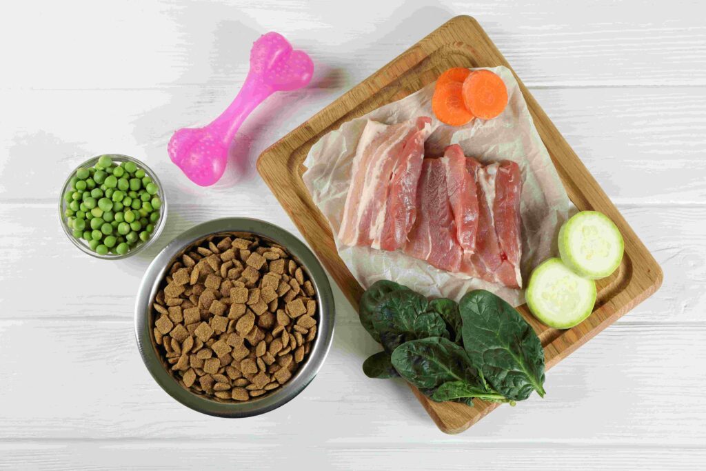 bland diet for dogs