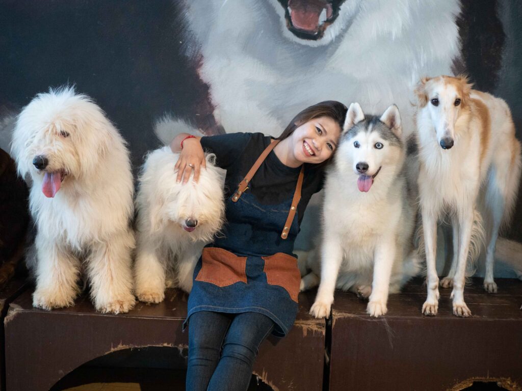 Ultimate Guide to Big Fluffy Dog Breeds