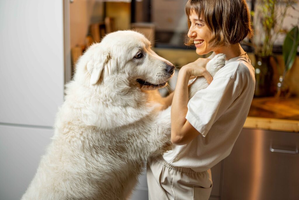 big fluffy dog breeds