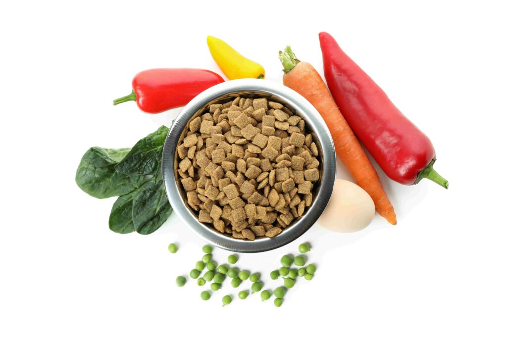 dog food healthy diet