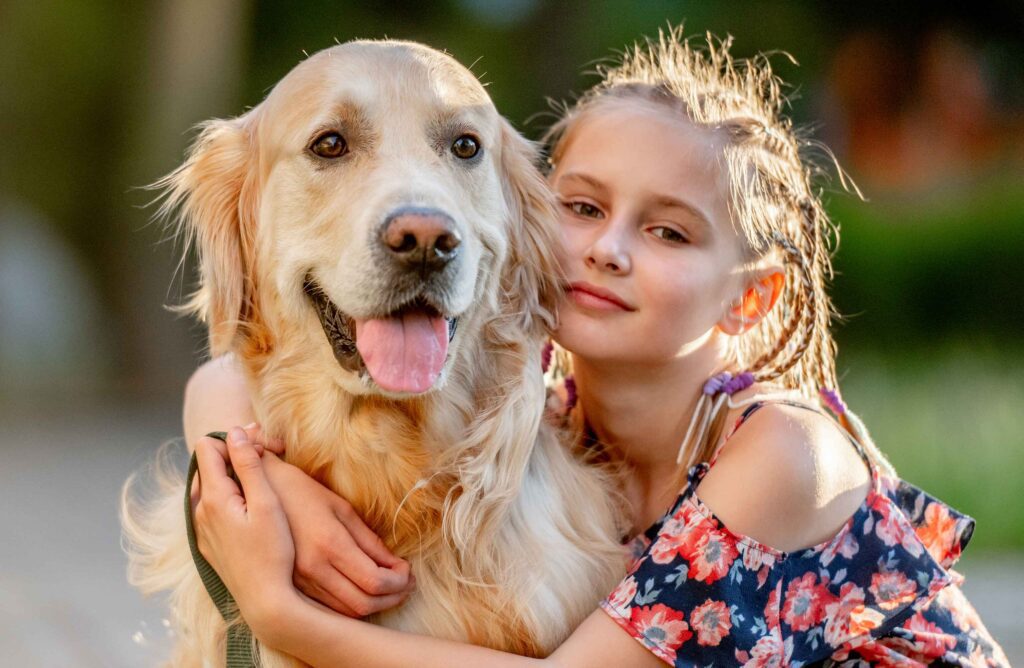 pet cremation cost 24 hours