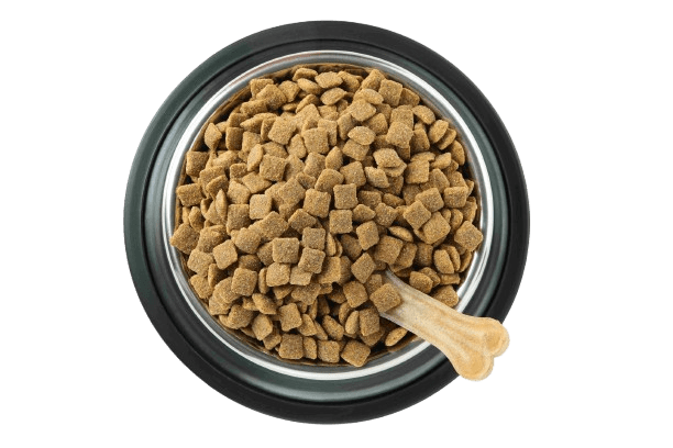 premium dog food